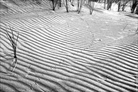 Seuls Sur Le Sable